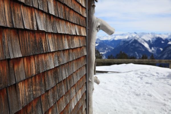 Cedar Siding Repair in Roseville