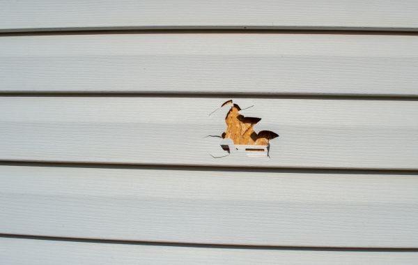 Siding Hole Repair in Roseville