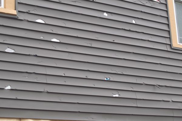 Damaged Siding Replacement in Roseville